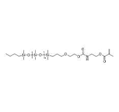 Methyl methacrylate ethyl isocyanate terminated butyl polydimethylsiloxane